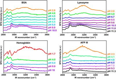 Isoelectric Point of Proteins at Hydrophobic Interfaces